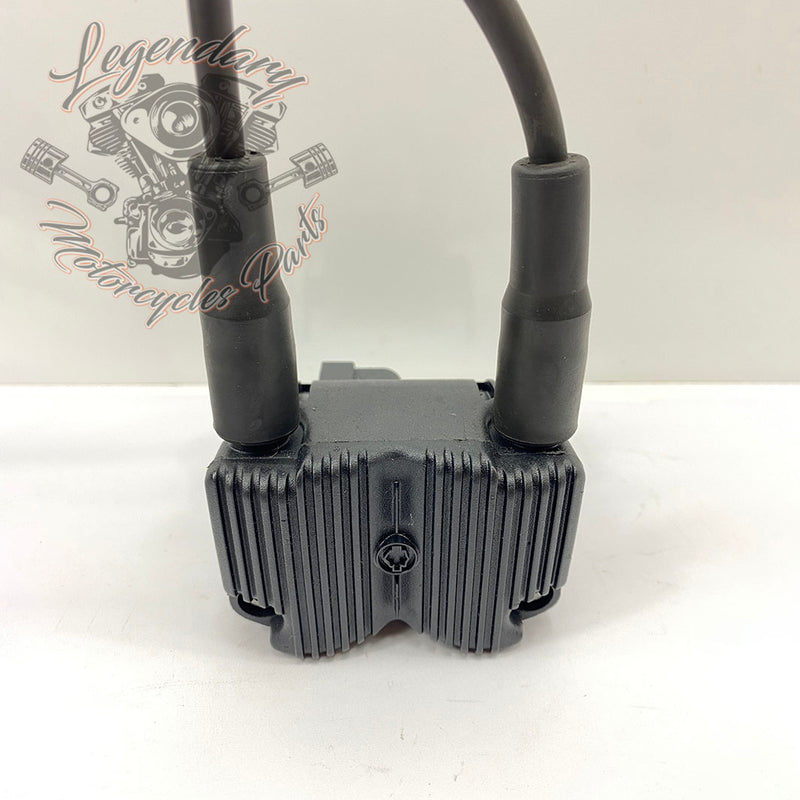 Spark plug coil and wires OEM 31743-01