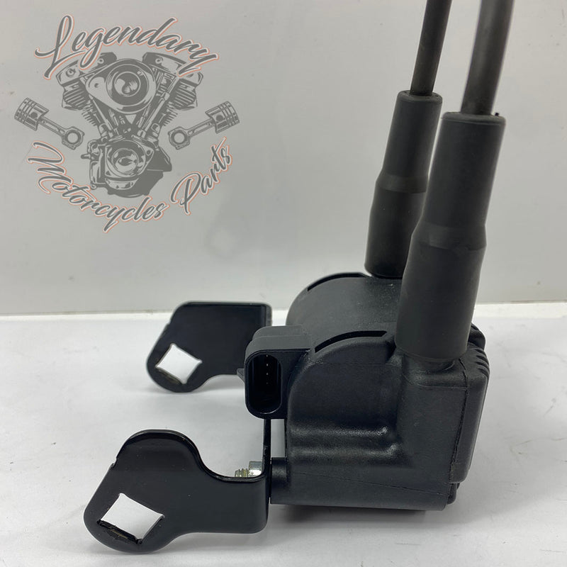 Bobine en bougiekabels OEM 31743-01
