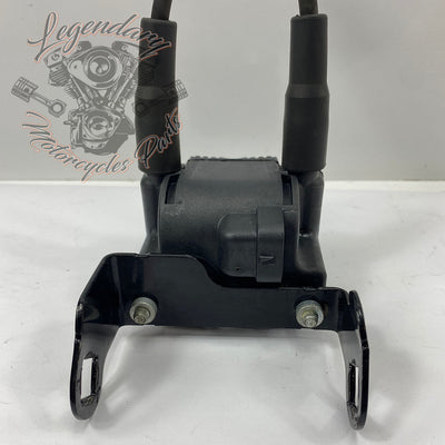 Bobine en bougiekabels OEM 31743-01