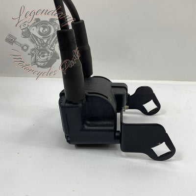 Bobine en bougiekabels OEM 31743-01