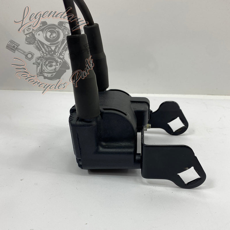 Bobine en bougiekabels OEM 31743-01