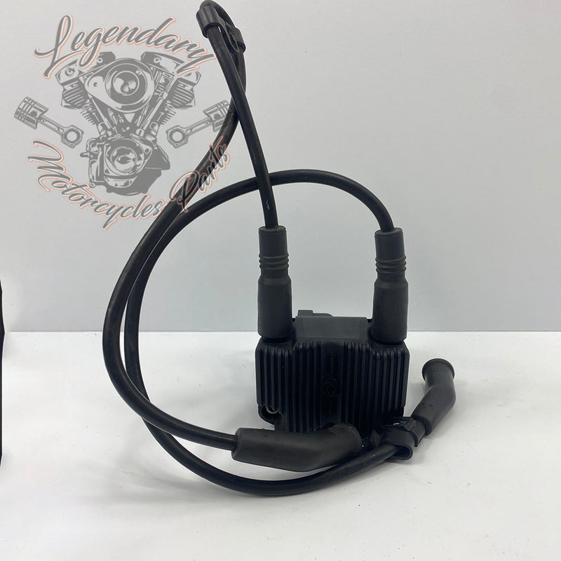 OEM 31743-01 bobine en bougiekabels