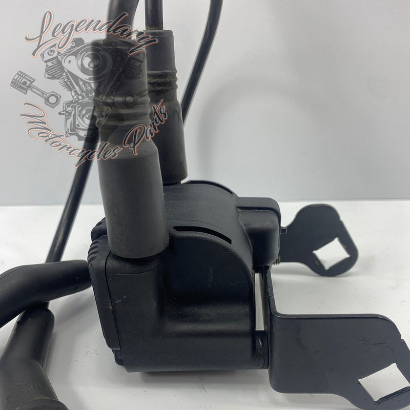 Bobina y cables de bujías OEM 31743-01