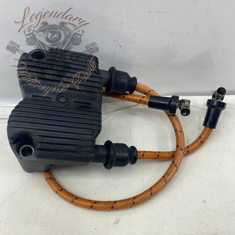 Spark plug coil and wires OEM 31743-01