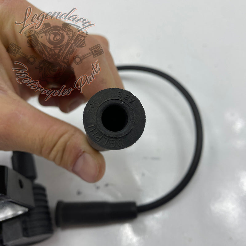 Bobina y cables de bujía OEM 31656-07