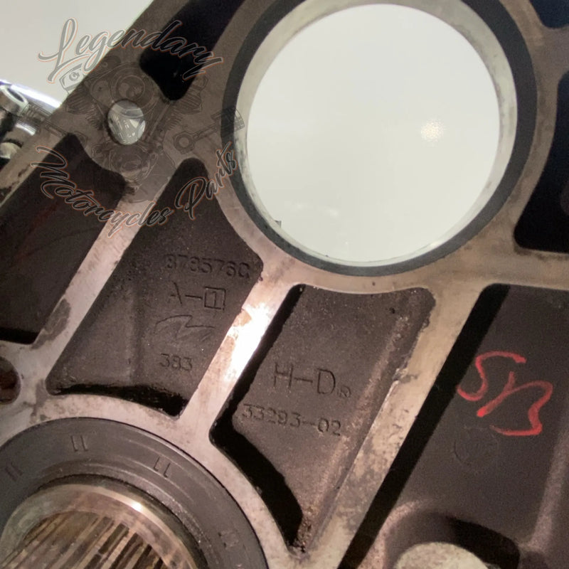 Boîte de vitesse Touring 1450 (88ci) OEM 33035-03