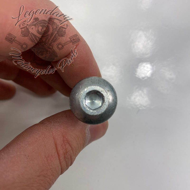 Puntale selettore OEM 33600156