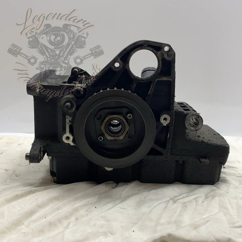 Carter scatola del cambio Touring 1450 (88ci) OEM 34740-02A