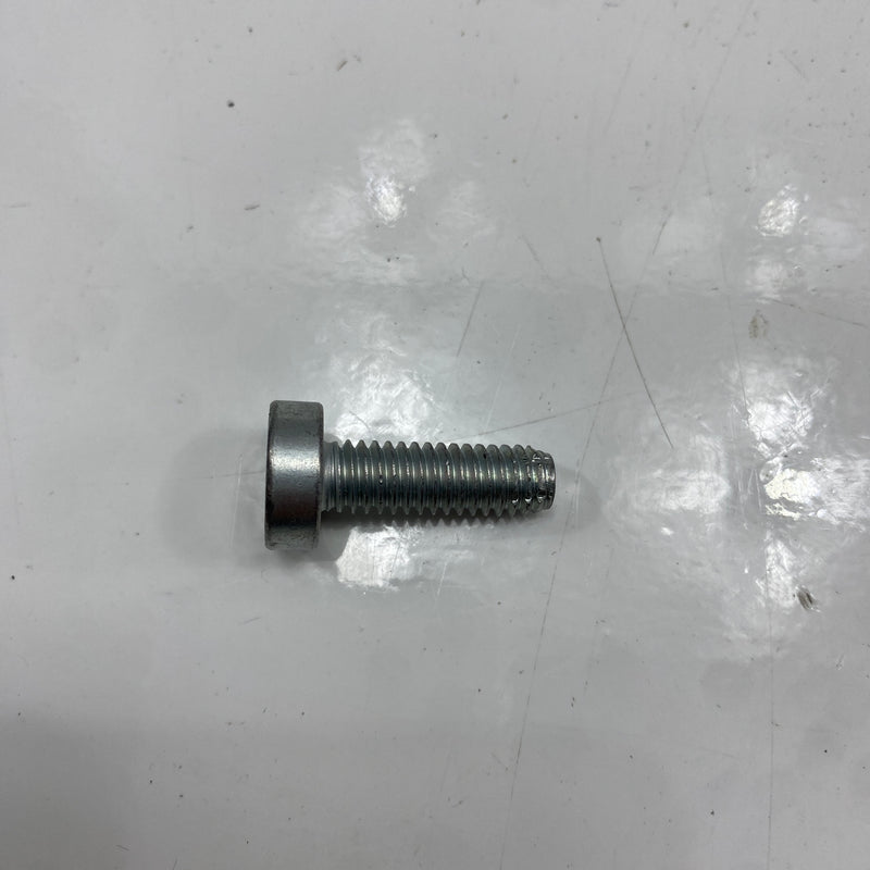 Vite Torx 5/16-18 X 1 OEM 3684