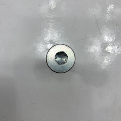 Vite Torx 5/16-18 X 1 OEM 3684