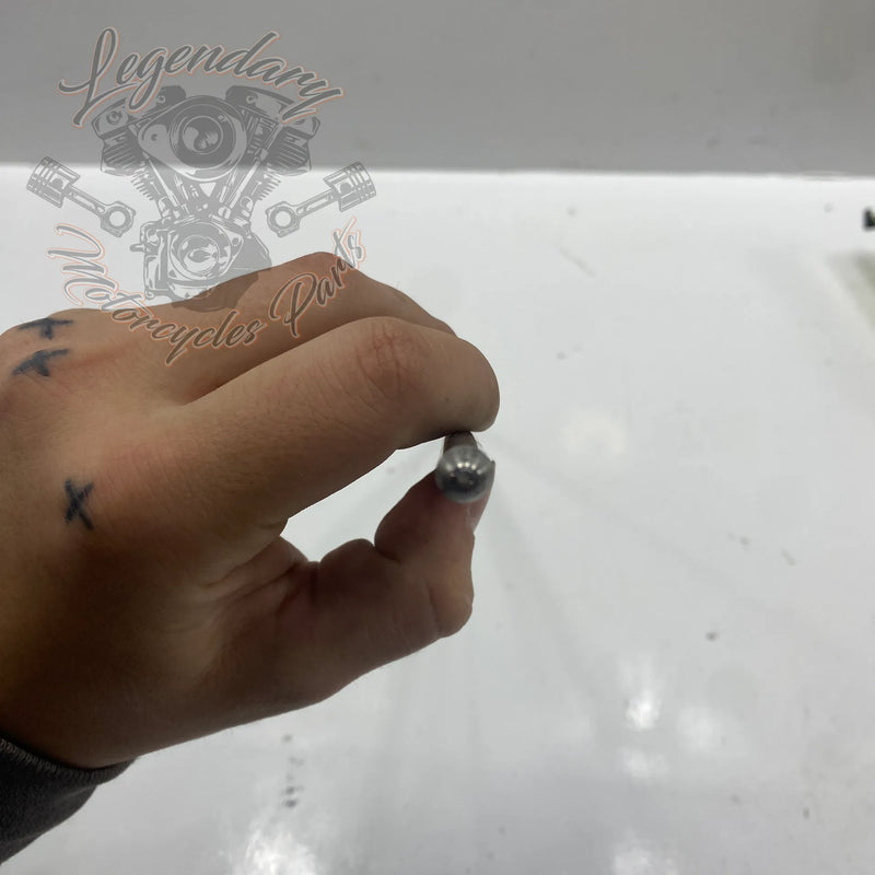 Asta frizione OEM 37000218