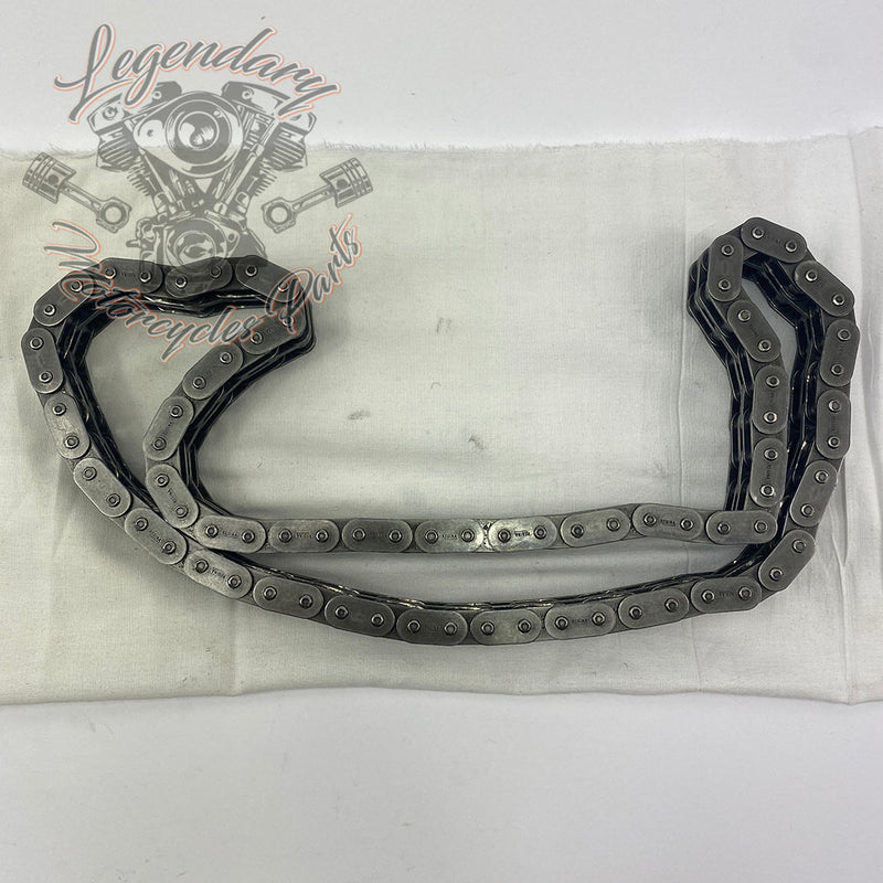 Primary chain OEM 40037-79A