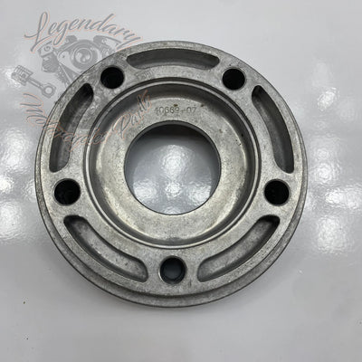 Bullone compensatore ruota OEM 40669-07