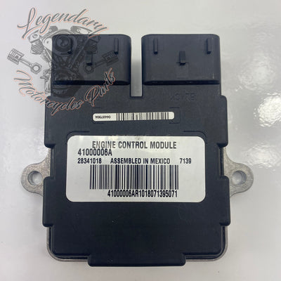 ECM OEM 41000006A