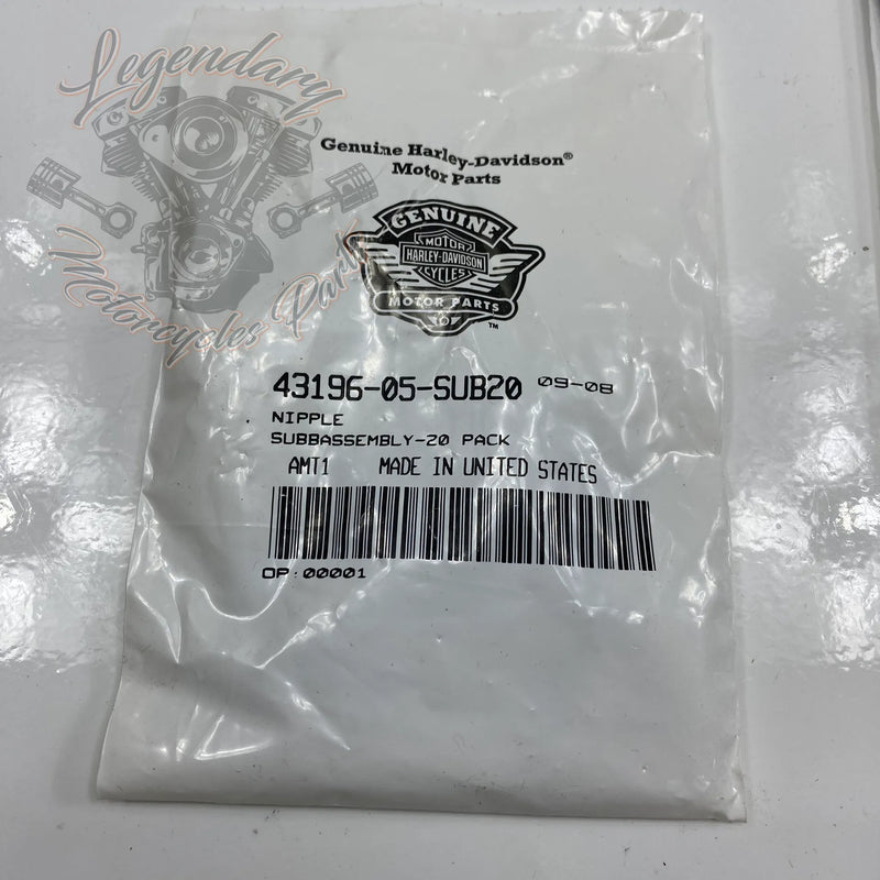 Kit raggi e dadi per raggi OEM 41021-09