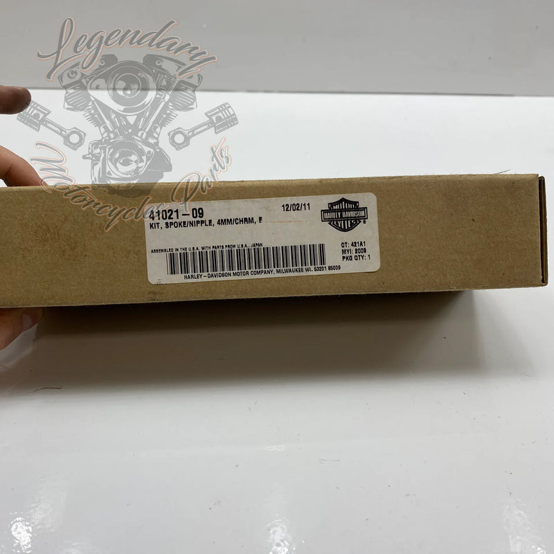 Kit raggi e dadi per raggi OEM 41021-09