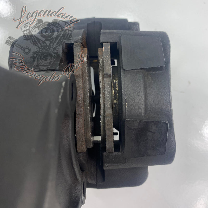 Soporte y pinza de freno trasero OEM 41300039