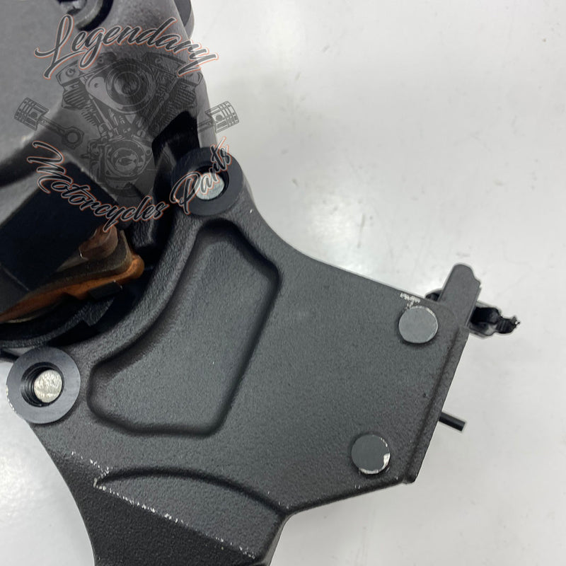 Rear brake bracket and caliper OEM 41300049