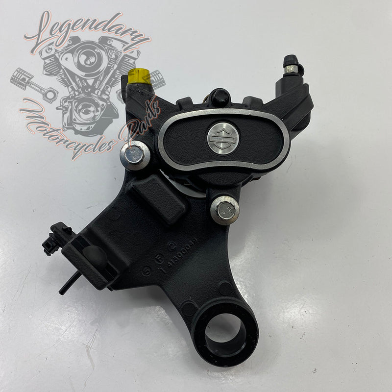 Rear brake bracket and caliper OEM 41300049