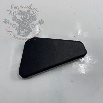 ABS Module Cover OEM 41600007