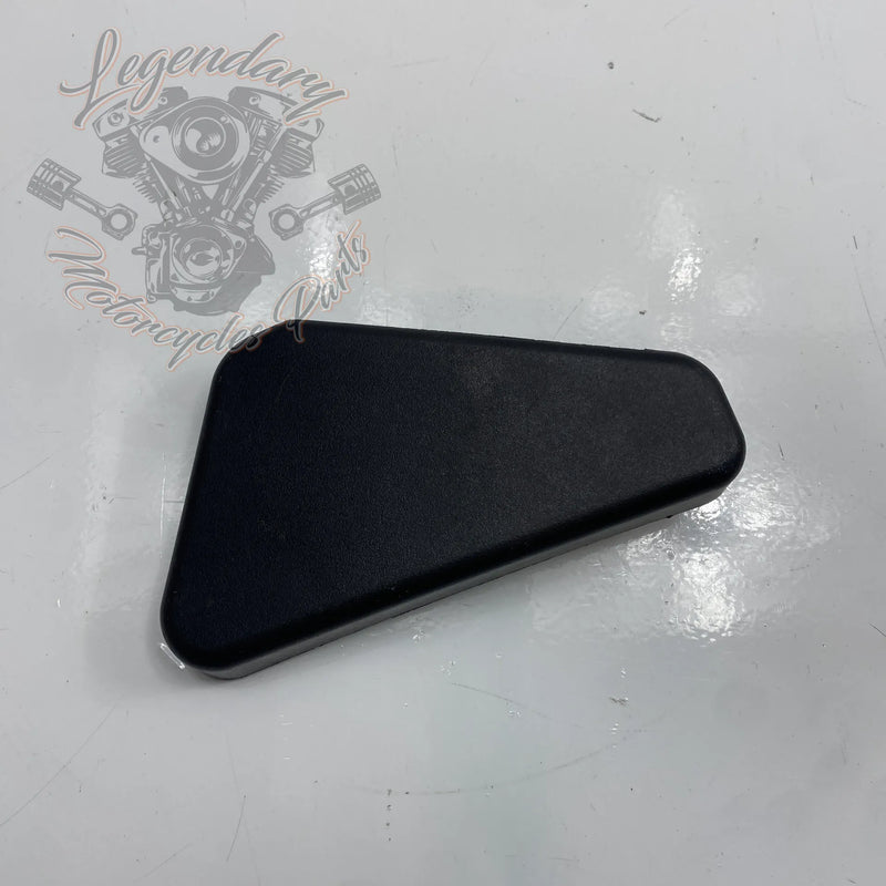 ABS Module Cover OEM 41600007