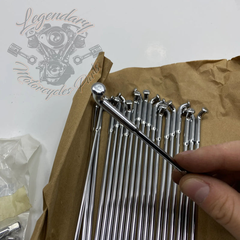 Kit de raios e cabeças de raio OEM 41697-09