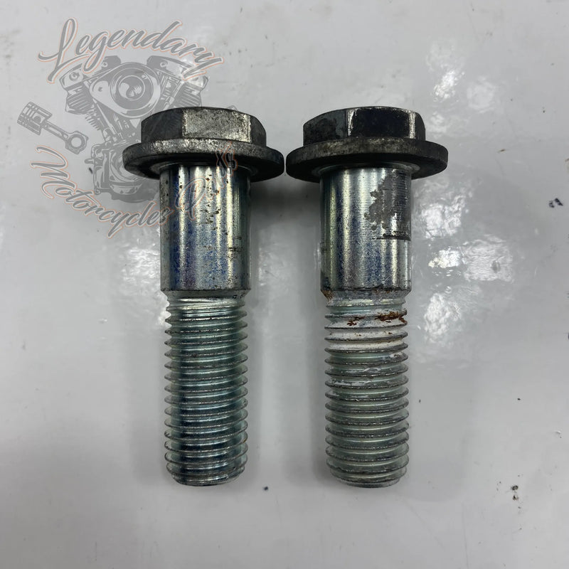 Vite del braccio oscillante OEM 41698-04