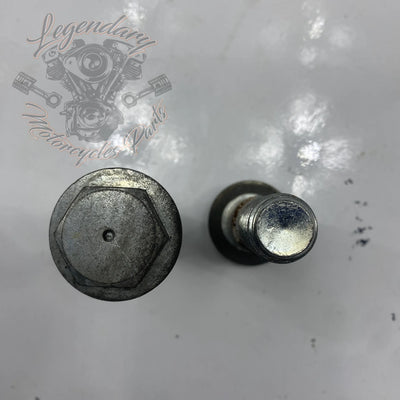 Vite del braccio oscillante OEM 41698-04