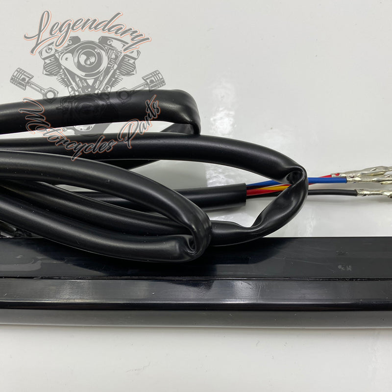 Tour Pak LED Spoiler OEM 53000239