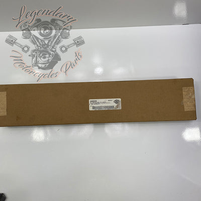 Tour Pak LED Spoiler OEM 53000239