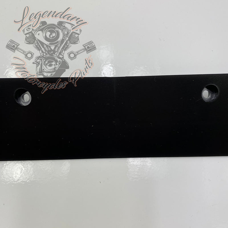 Tour Pak LED Spoiler OEM 53000239