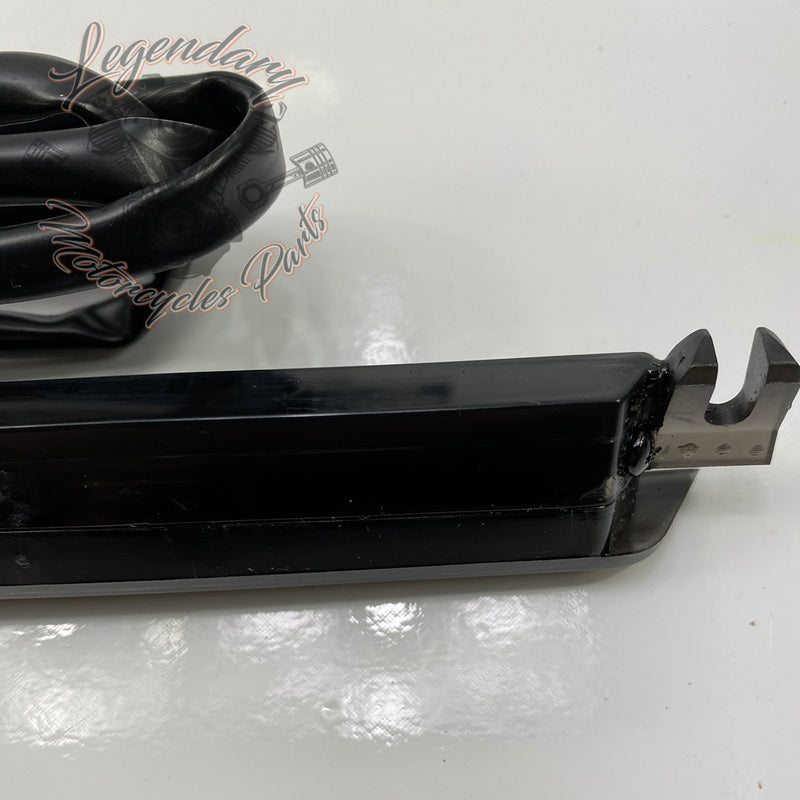 Tour Pak LED Spoiler OEM 53000239