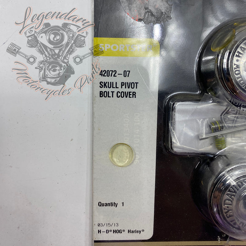Swingarm as covers OEM 42072-07