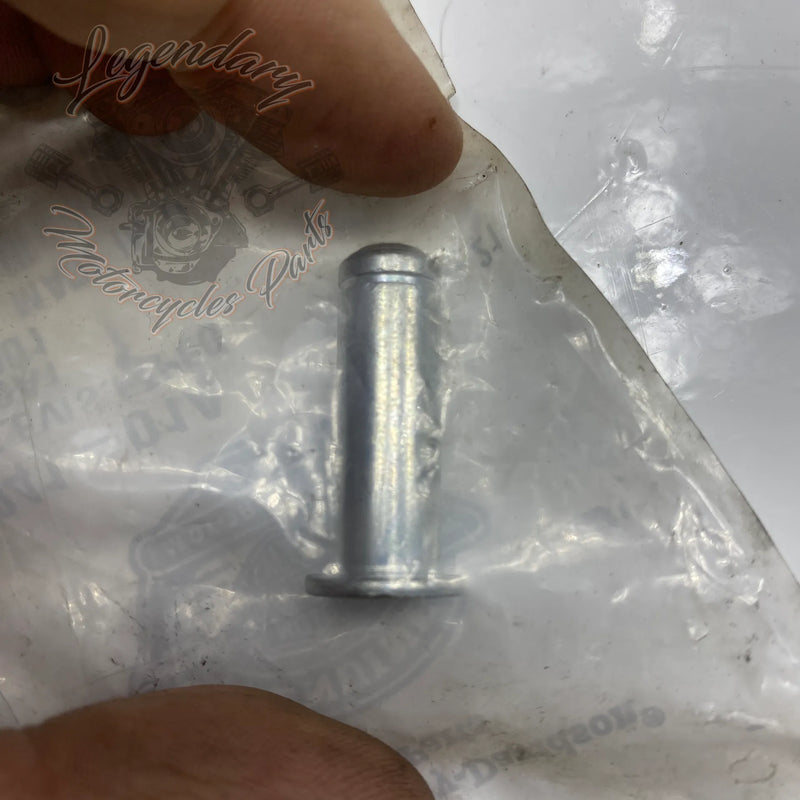 Asse poggiapiedi OEM 45041-01A