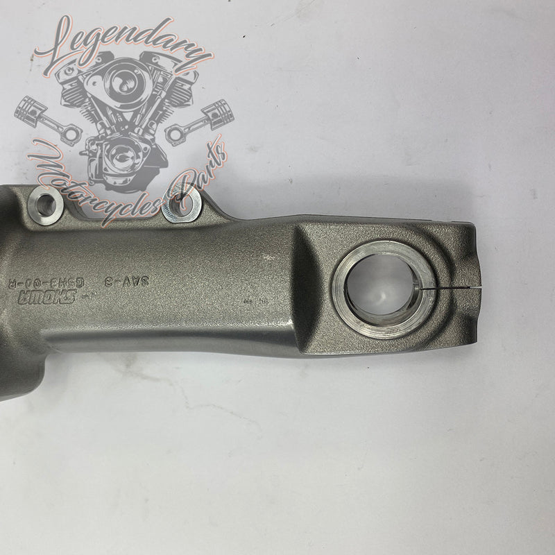 Fork tubes OEM 45400021