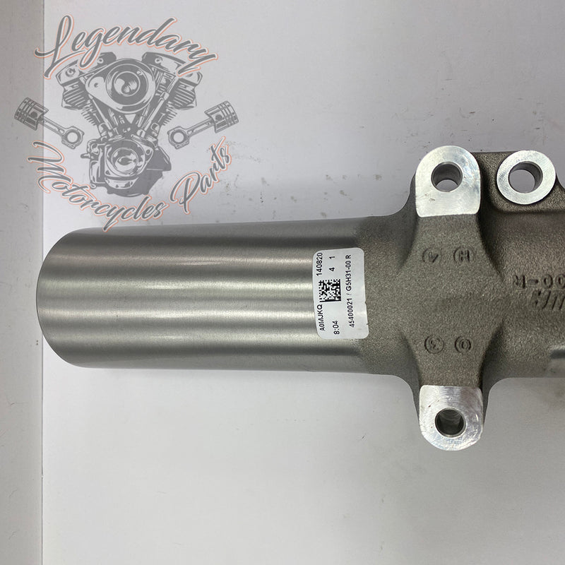 Fork tubes OEM 45400021