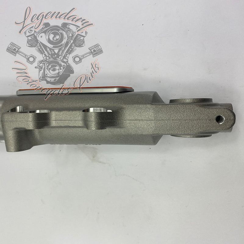 Fork tubes OEM 45400021