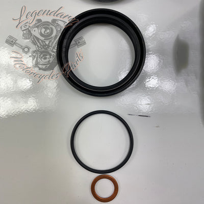 Forcella a cartuccia singola OEM 45400058