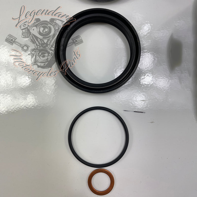 Forcella a cartuccia singola OEM 45400058
