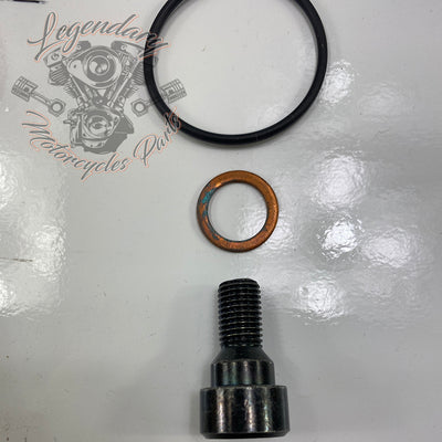 Kit de horquilla de cartucho simple OEM 45400058