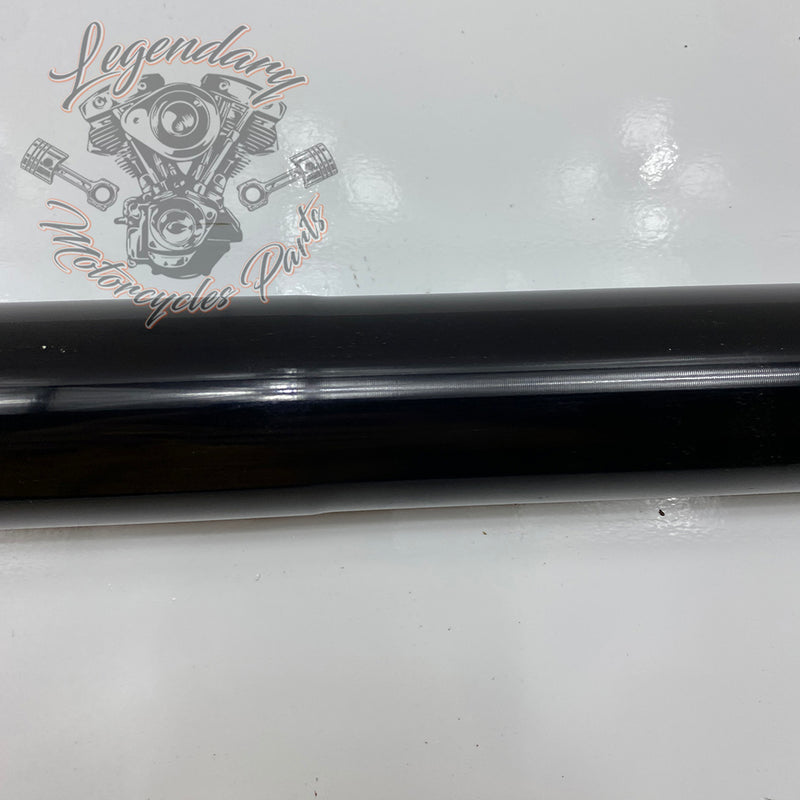 Left Fork Leg OEM 45400180