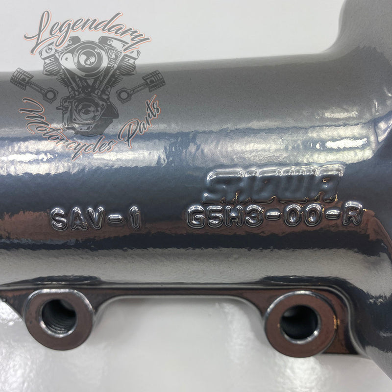 Vorkpoten OEM 45500109