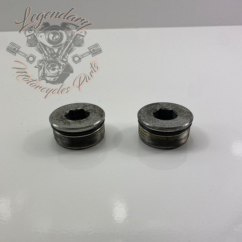 Fork Caps OEM 45500117