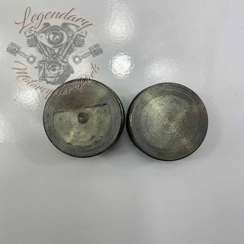 Fork Caps OEM 45500117