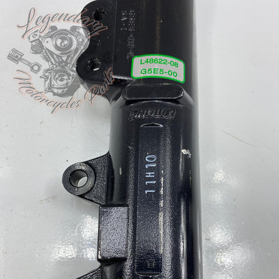 Coppia di foderi forcella OEM 48622-08