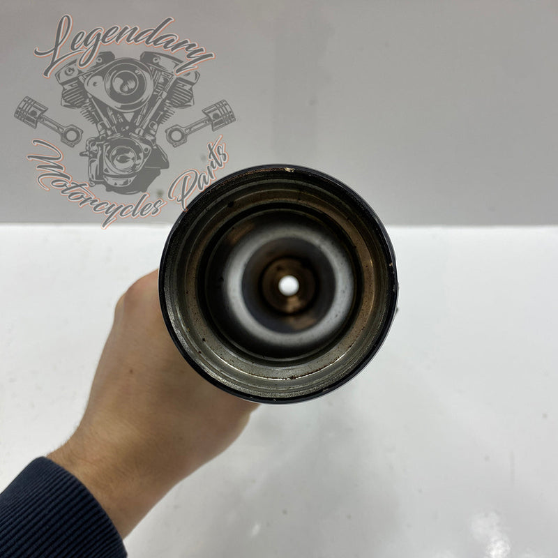 Coppia di foderi forcella OEM 48622-08