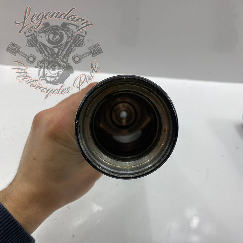 Coppia di foderi forcella OEM 48622-08
