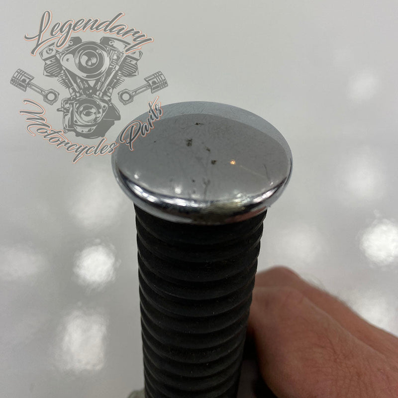 Repose-pieds OEM 49117-77TB