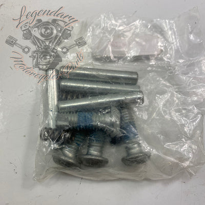 Kit de soportes de estribos de pasajero OEM 49349-07