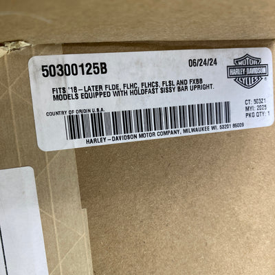Sportgepäckträger für Sissy Bar Holdfast OEM 50300125B